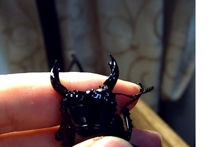 按此在新視窗瀏覽圖片