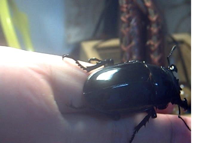 按此在新視窗瀏覽圖片