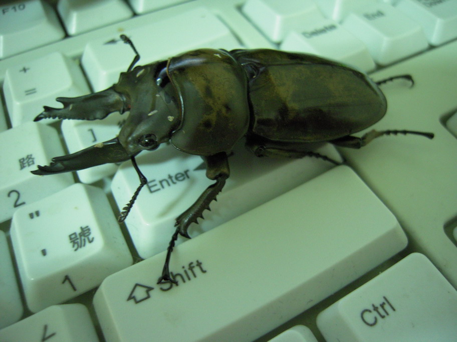 «ö¦¹¦b·sµøµ¡ÂsÄý¹Ï¤ù