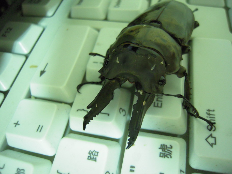 «ö¦¹¦b·sµøµ¡ÂsÄý¹Ï¤ù