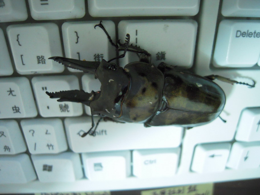 «ö¦¹¦b·sµøµ¡ÂsÄý¹Ï¤ù