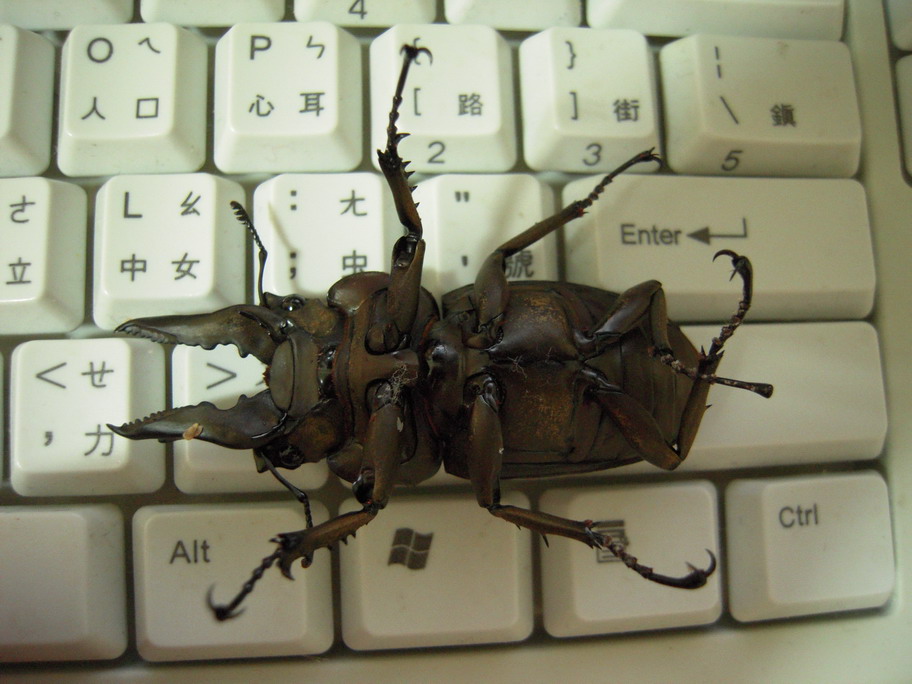 «ö¦¹¦b·sµøµ¡ÂsÄý¹Ï¤ù