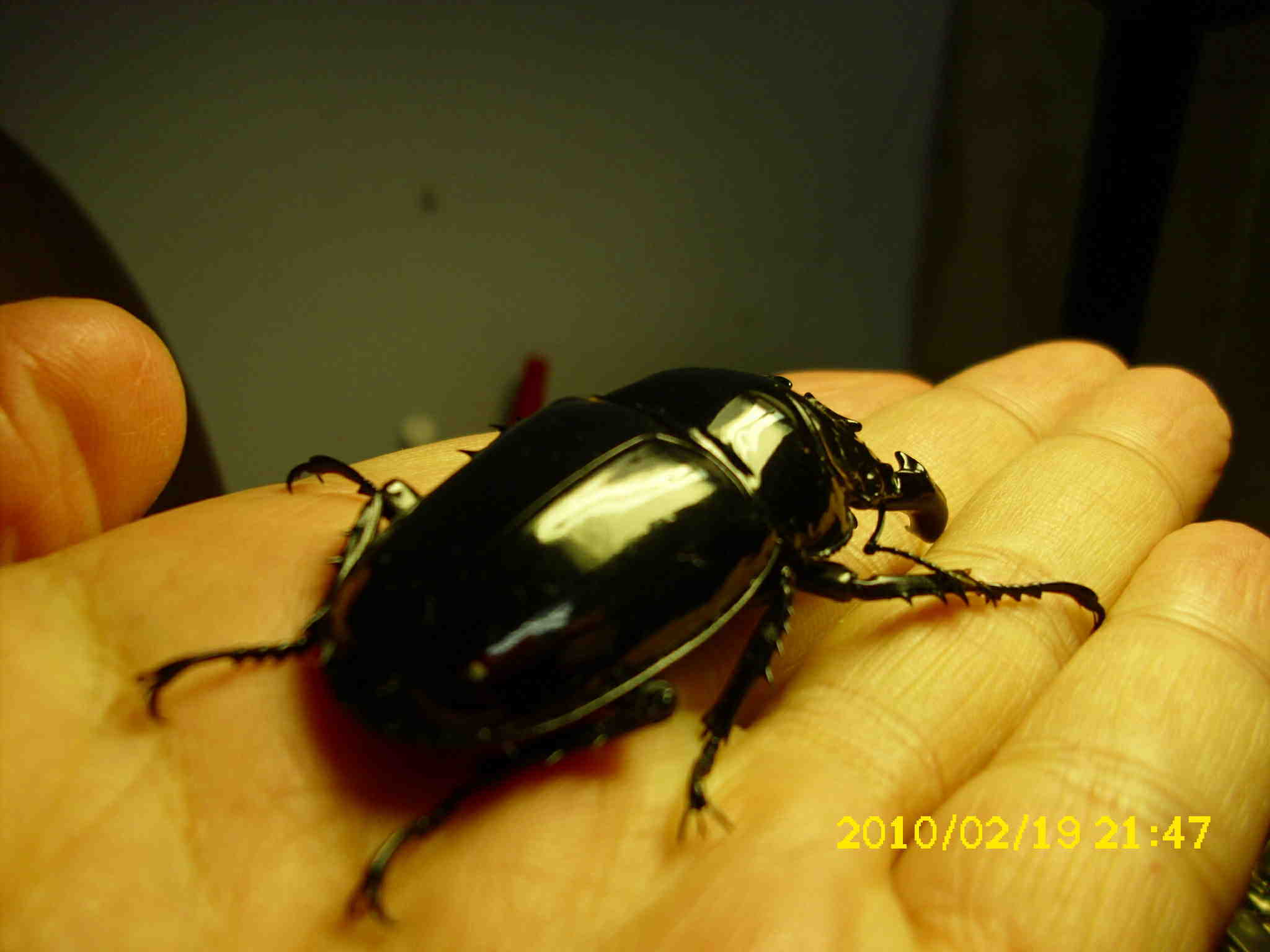 按此在新視窗瀏覽圖片