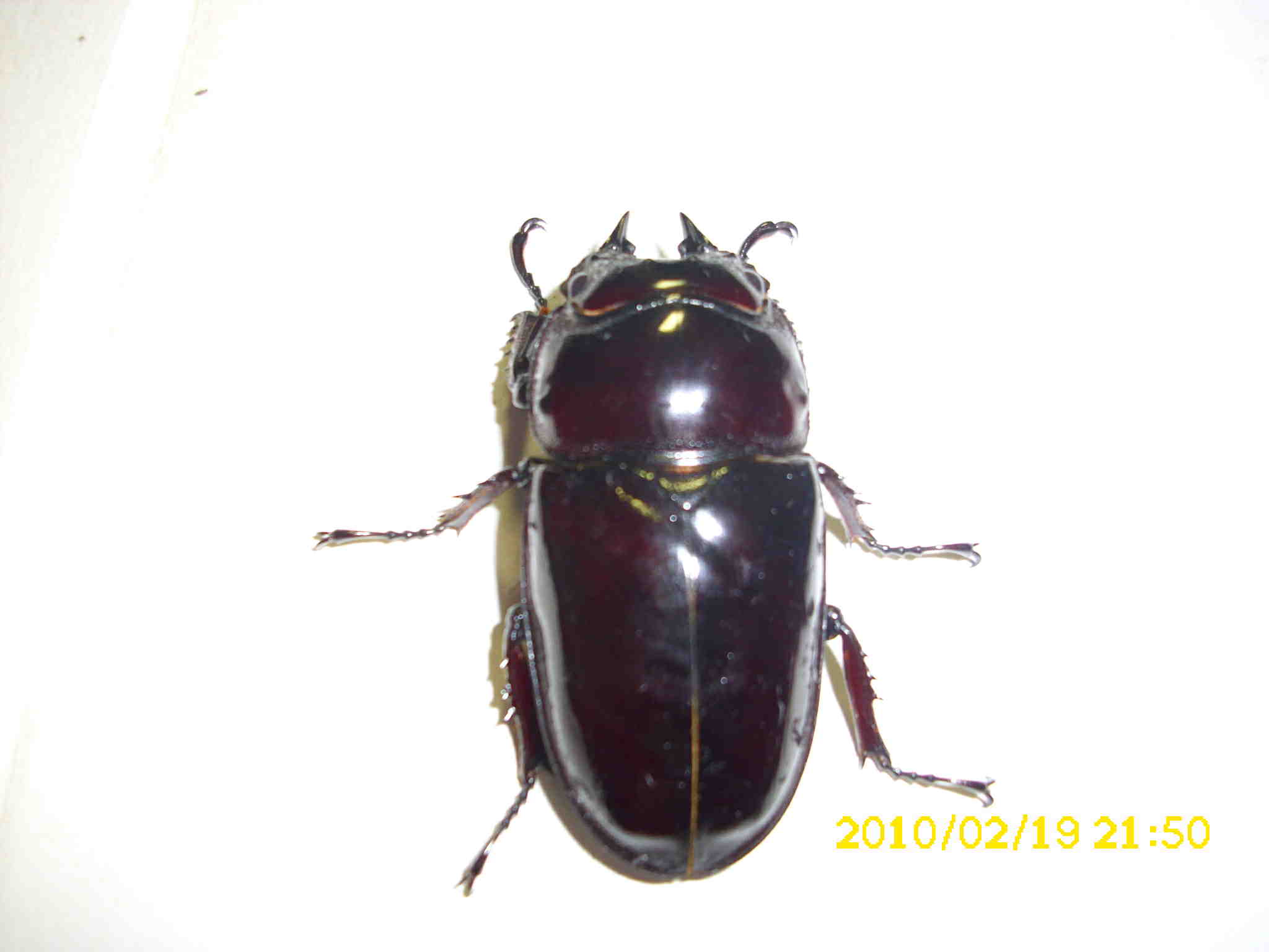 按此在新視窗瀏覽圖片