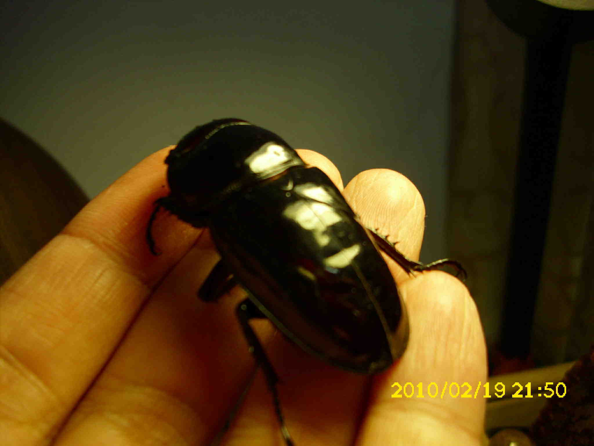 按此在新視窗瀏覽圖片