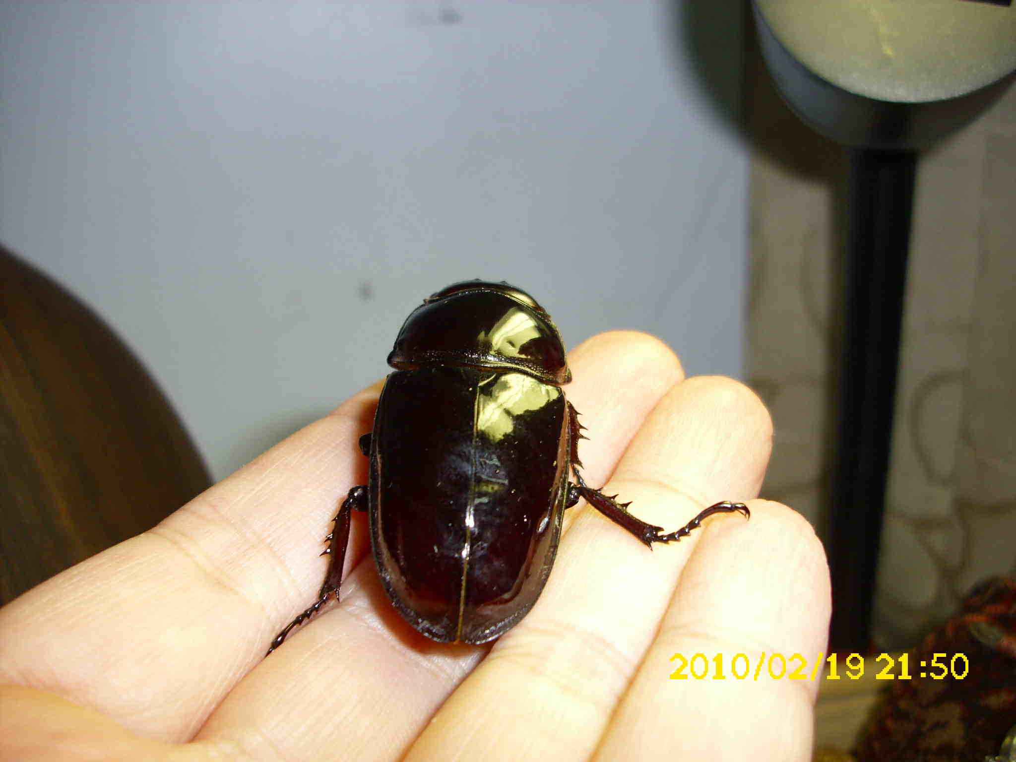 按此在新視窗瀏覽圖片