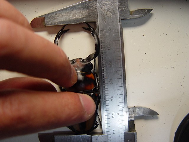 «ö¦¹¦b·sµøµ¡ÂsÄý¹Ï¤ù