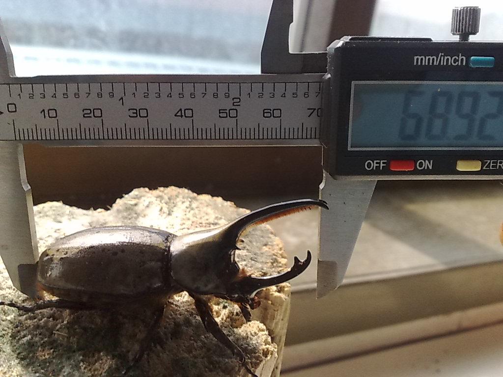 «ö¦¹¦b·sµøµ¡ÂsÄý¹Ï¤ù