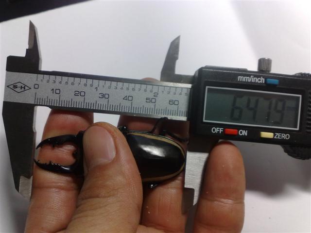 «ö¦¹¦b·sµøµ¡ÂsÄý¹Ï¤ù