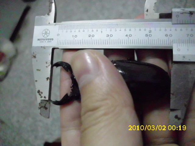 «ö¦¹¦b·sµøµ¡ÂsÄý¹Ï¤ù