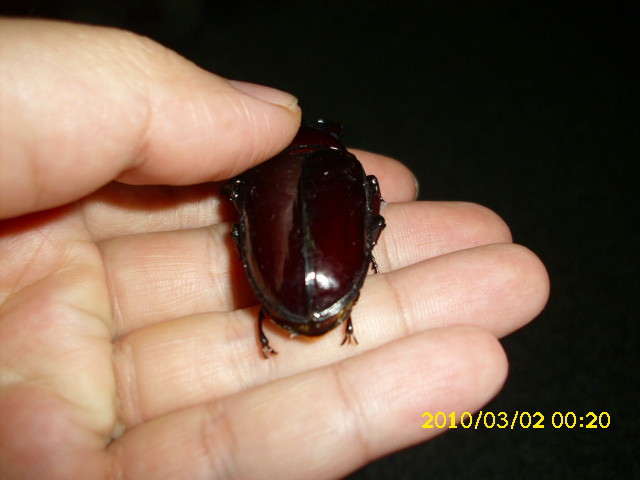 «ö¦¹¦b·sµøµ¡ÂsÄý¹Ï¤ù