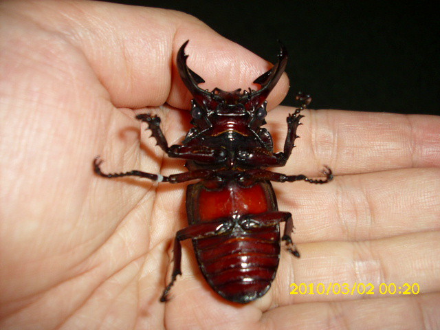 «ö¦¹¦b·sµøµ¡ÂsÄý¹Ï¤ù