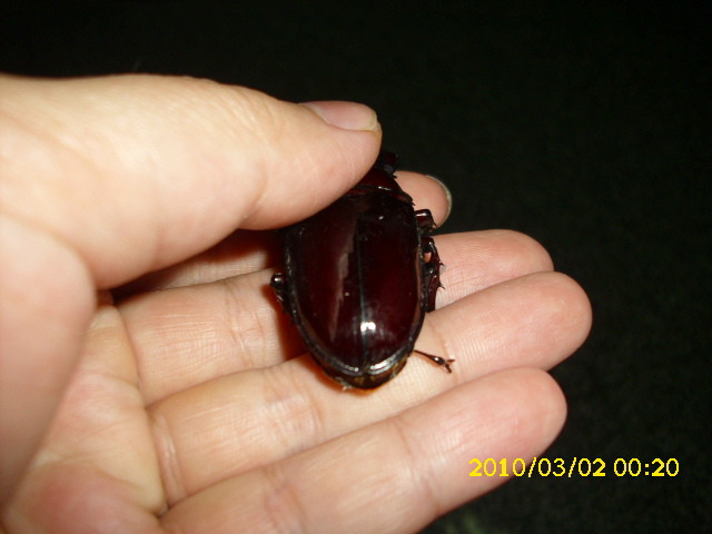 «ö¦¹¦b·sµøµ¡ÂsÄý¹Ï¤ù