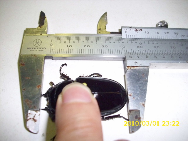 «ö¦¹¦b·sµøµ¡ÂsÄý¹Ï¤ù