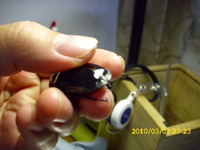 «ö¦¹¦b·sµøµ¡ÂsÄý¹Ï¤ù