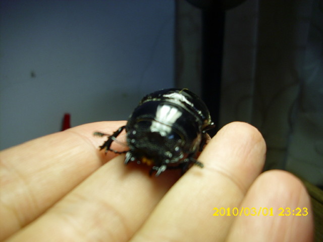 «ö¦¹¦b·sµøµ¡ÂsÄý¹Ï¤ù