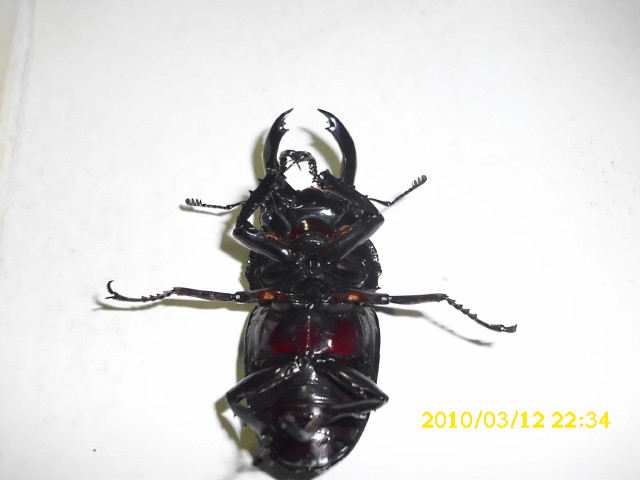 按此在新視窗瀏覽圖片