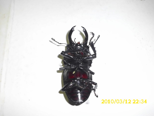 按此在新視窗瀏覽圖片