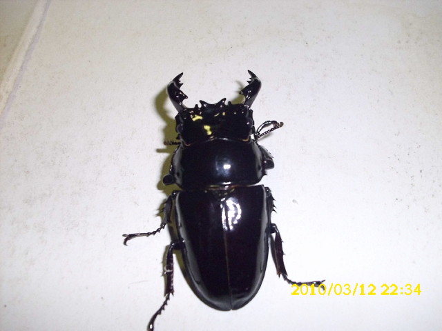 按此在新視窗瀏覽圖片