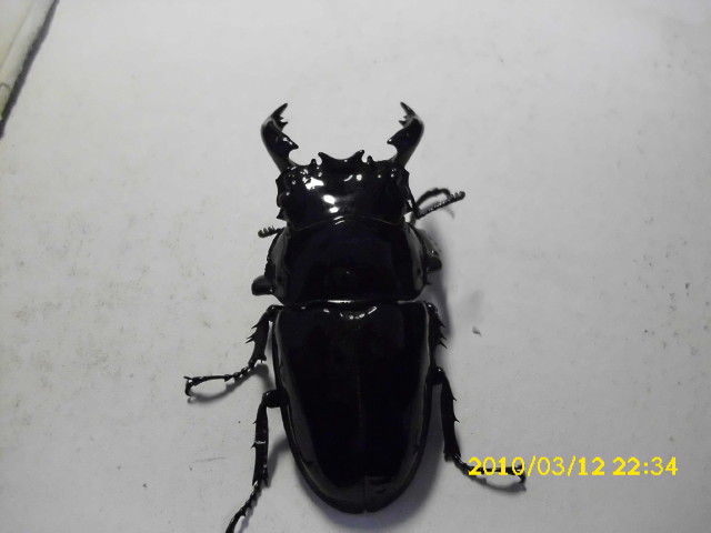 按此在新視窗瀏覽圖片