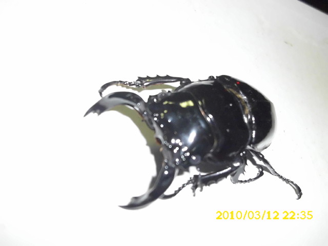 按此在新視窗瀏覽圖片