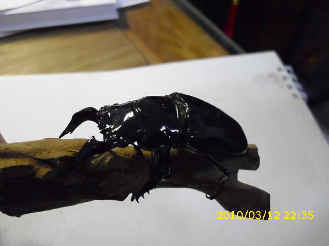 按此在新視窗瀏覽圖片