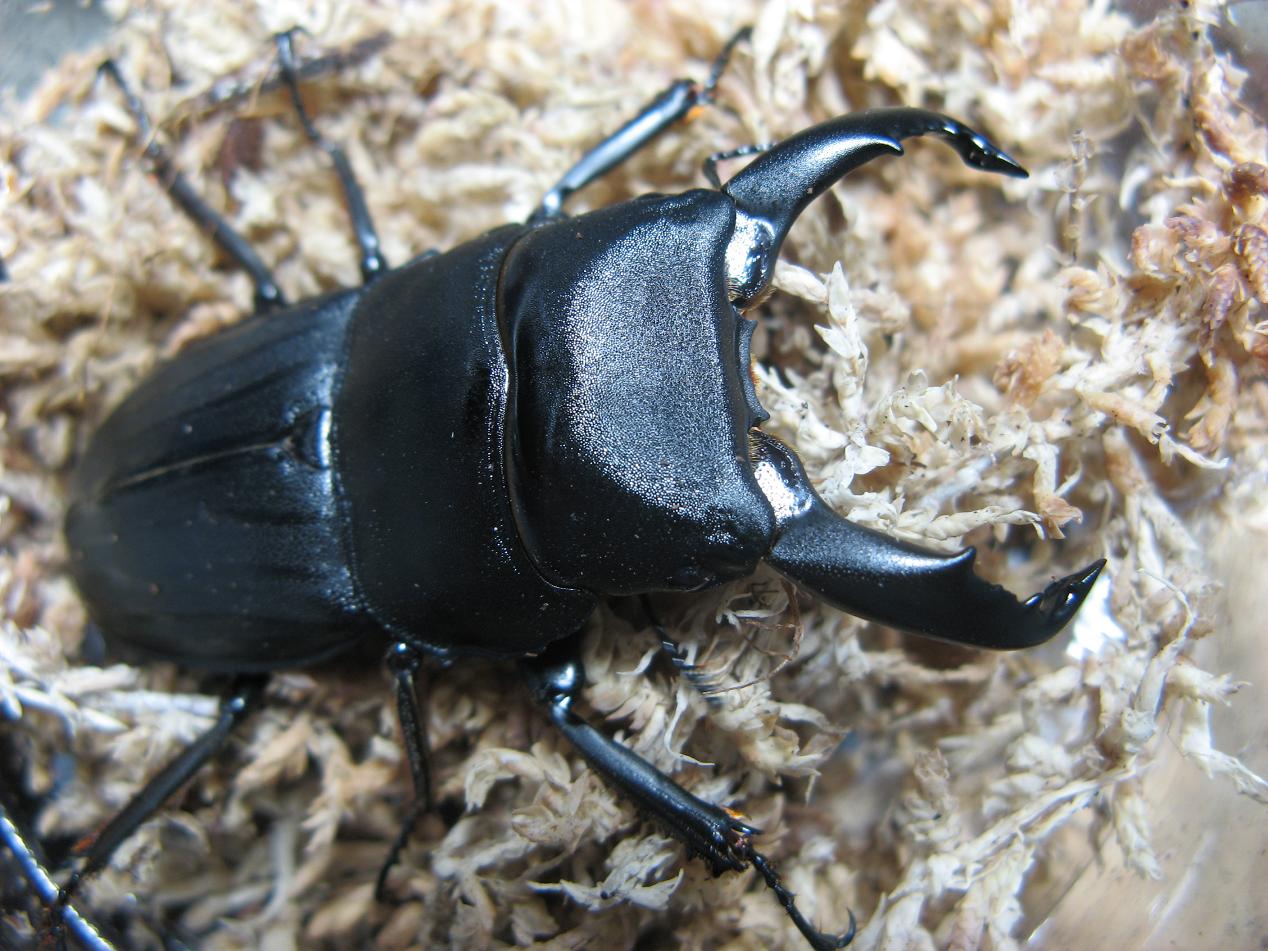 «ö¦¹¦b·sµøµ¡ÂsÄý¹Ï¤ù