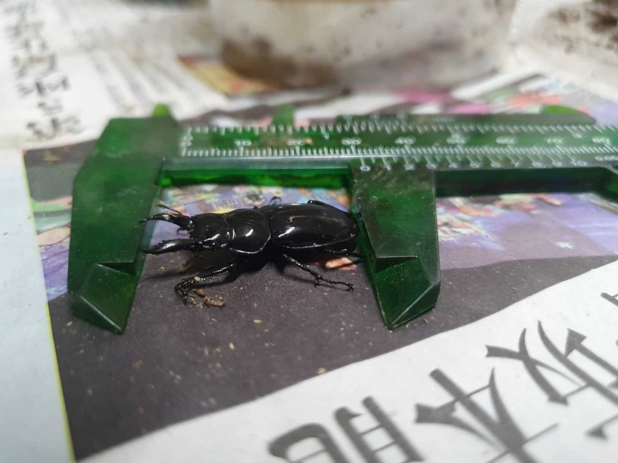 «ö¦¹¦b·sµøµ¡ÂsÄý¹Ï¤ù