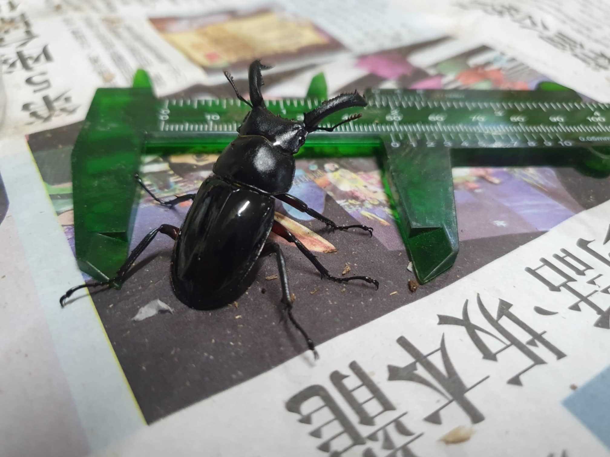 «ö¦¹¦b·sµøµ¡ÂsÄý¹Ï¤ù