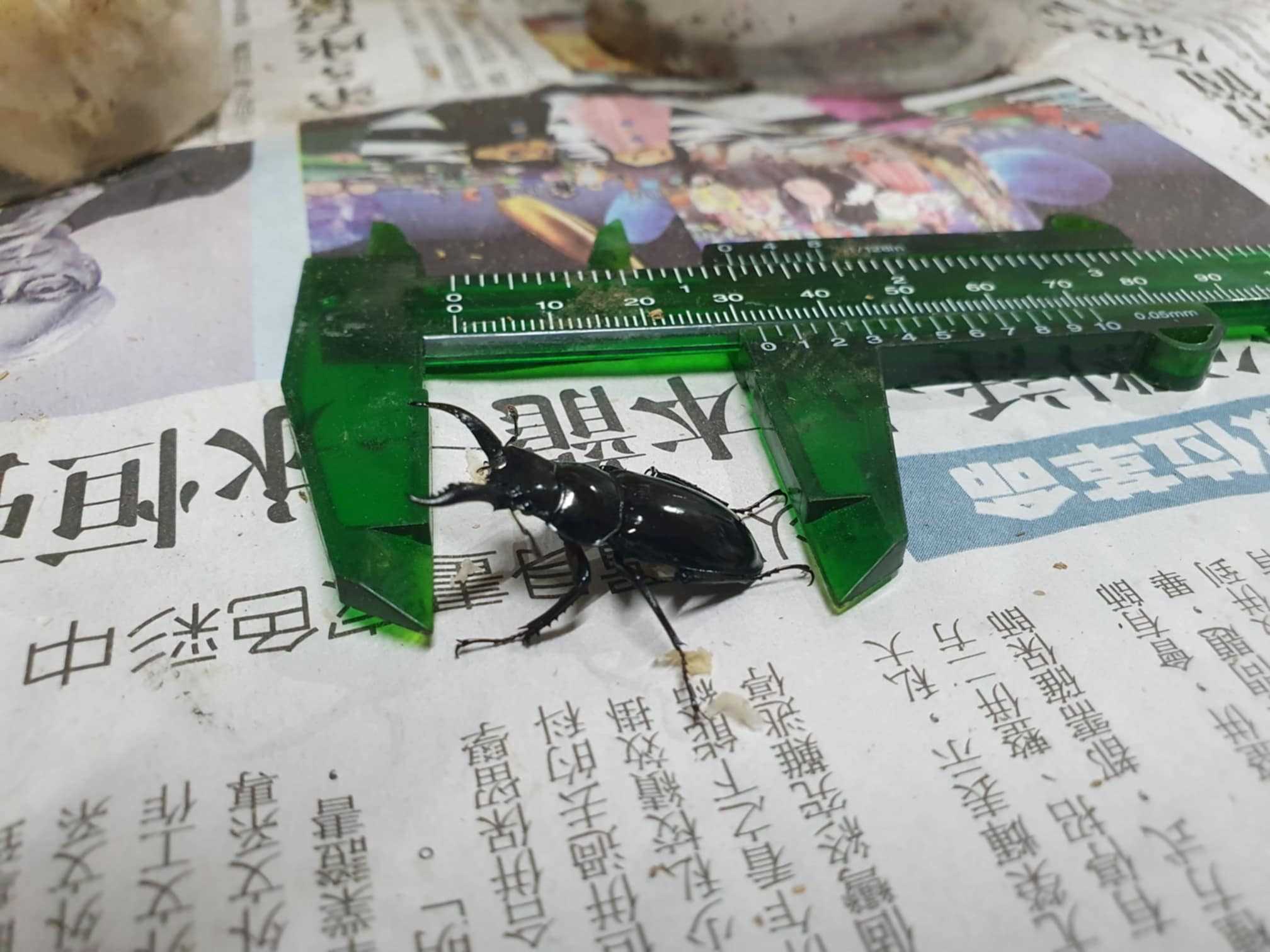 «ö¦¹¦b·sµøµ¡ÂsÄý¹Ï¤ù