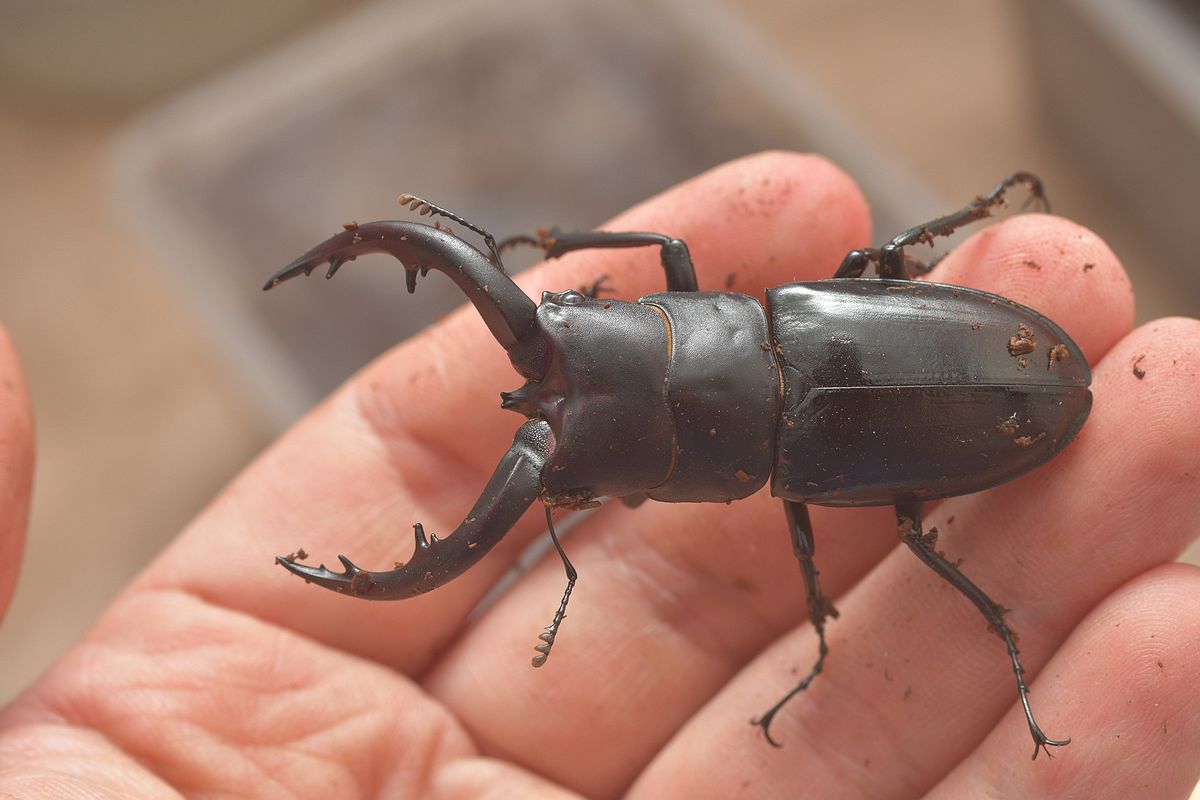 按此在新視窗瀏覽圖片