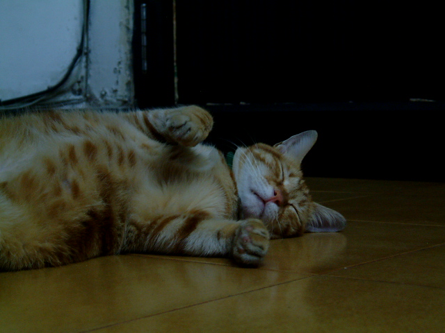 按此在新視窗瀏覽圖片