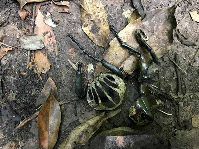 按此在新視窗瀏覽圖片