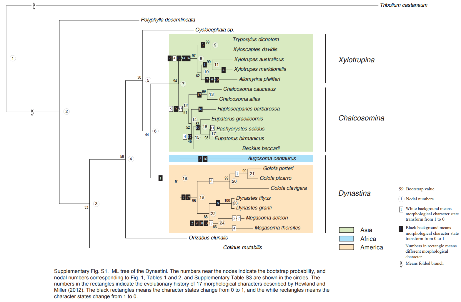 «ö¦¹¦b·sµøµ¡ÂsÄý¹Ï¤ù