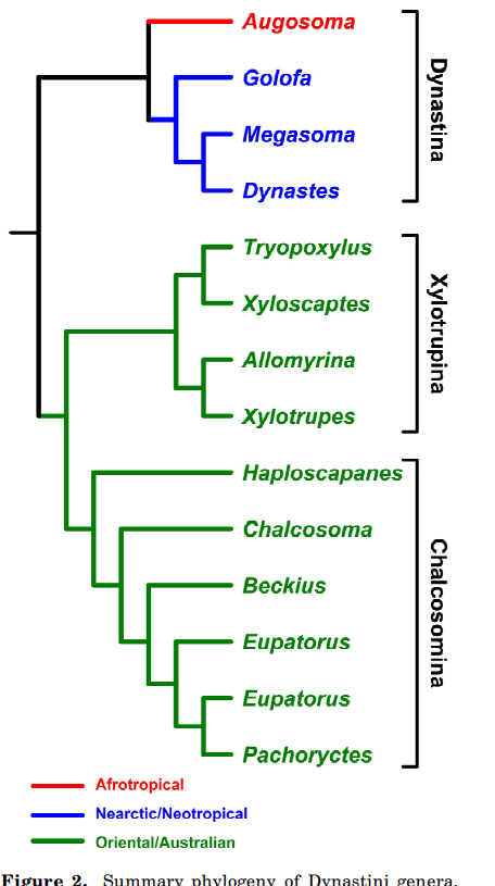 «ö¦¹¦b·sµøµ¡ÂsÄý¹Ï¤ù