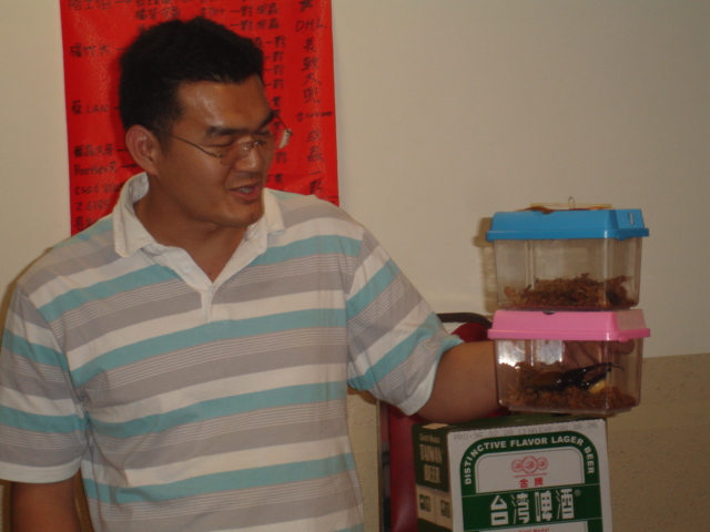 «ö¦¹¦b·sµøµ¡ÂsÄý¹Ï¤ù