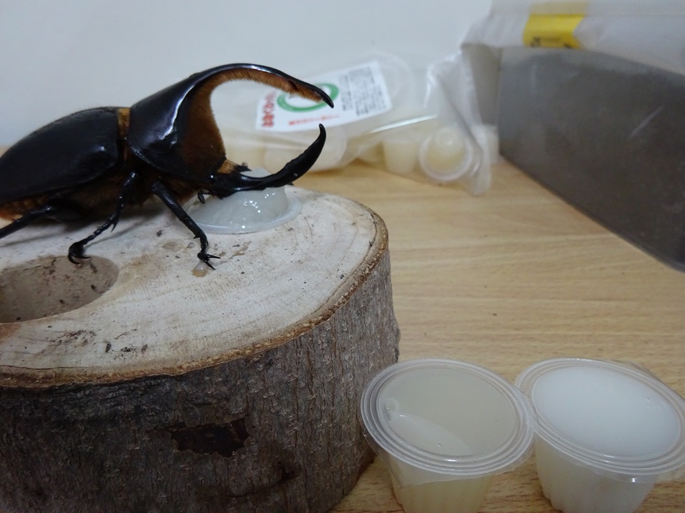 «ö¦¹¦b·sµøµ¡ÂsÄý¹Ï¤ù