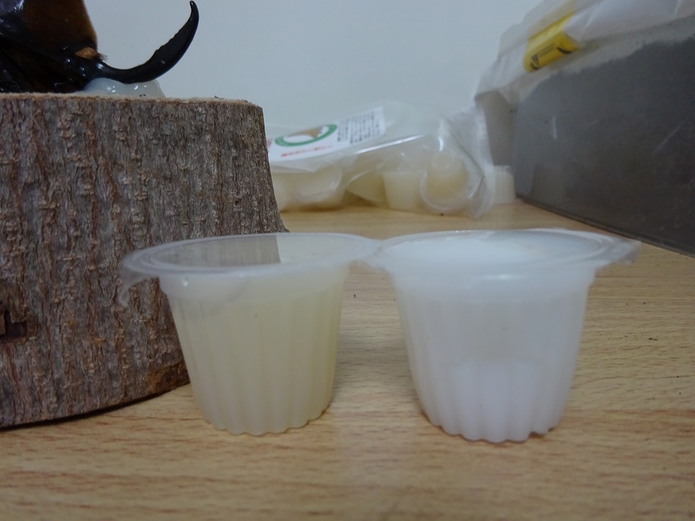 «ö¦¹¦b·sµøµ¡ÂsÄý¹Ï¤ù