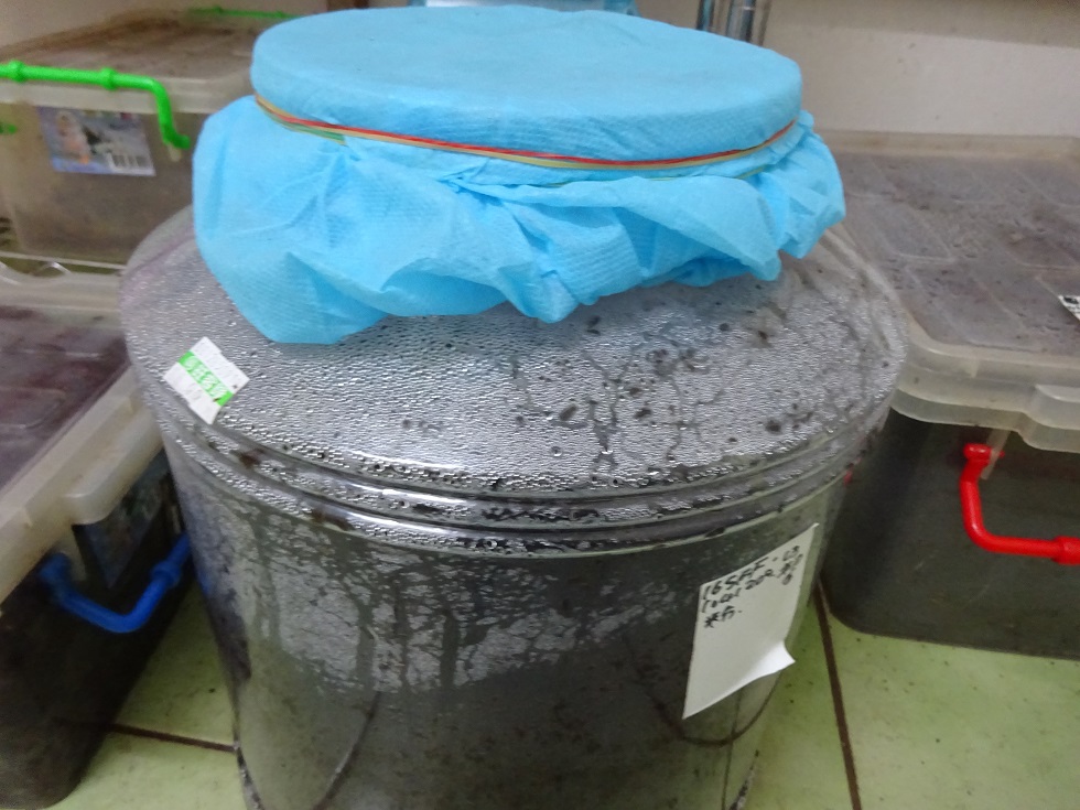 «ö¦¹¦b·sµøµ¡ÂsÄý¹Ï¤ù