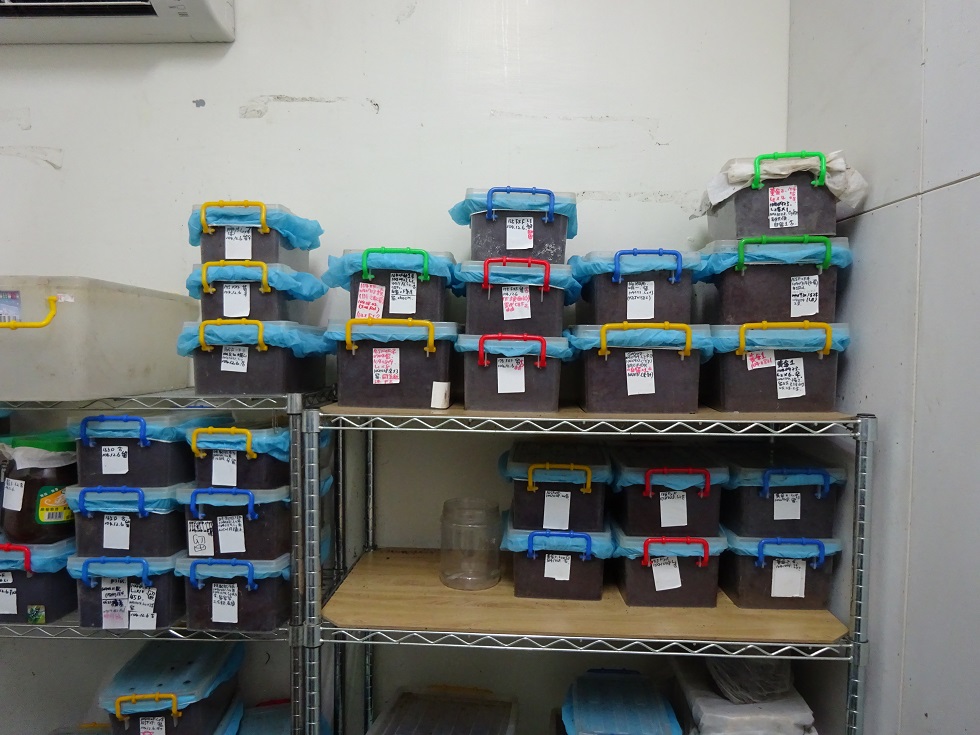 «ö¦¹¦b·sµøµ¡ÂsÄý¹Ï¤ù