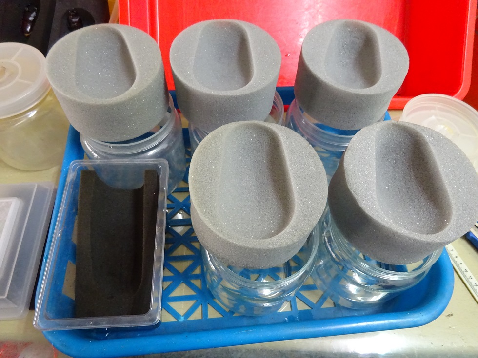 «ö¦¹¦b·sµøµ¡ÂsÄý¹Ï¤ù