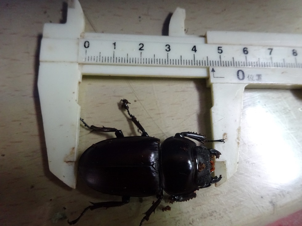 «ö¦¹¦b·sµøµ¡ÂsÄý¹Ï¤ù