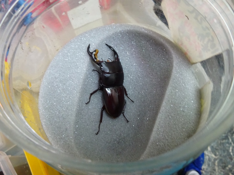 «ö¦¹¦b·sµøµ¡ÂsÄý¹Ï¤ù