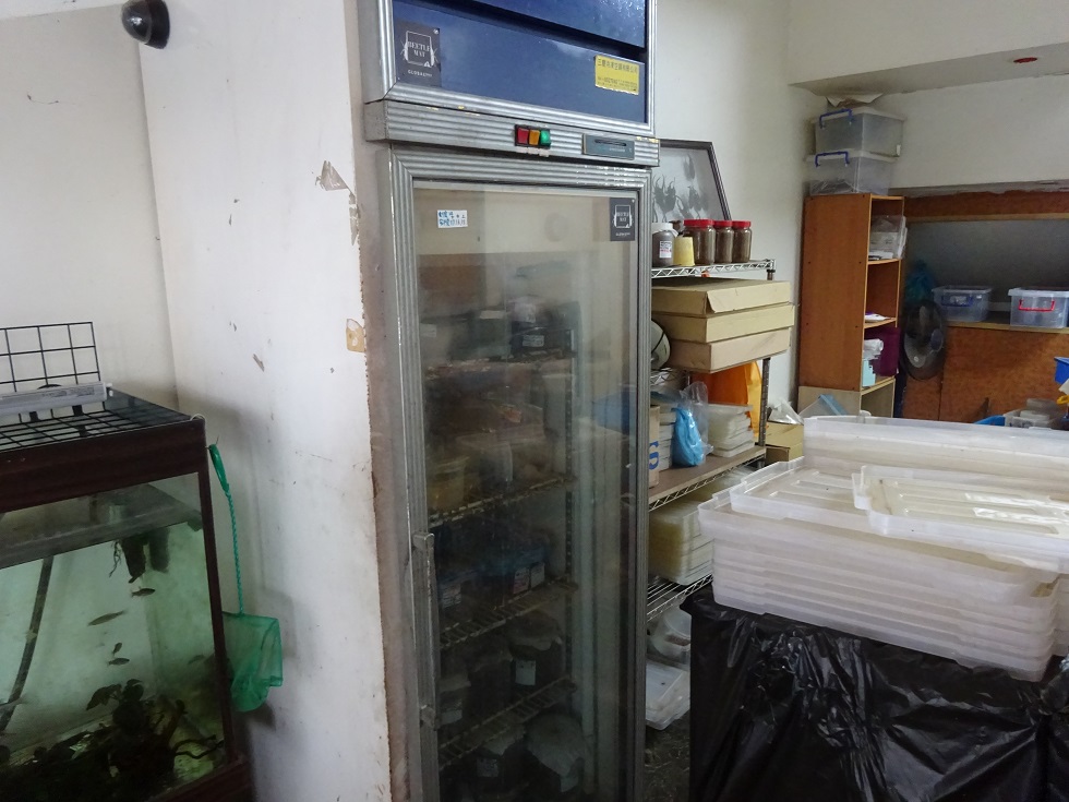 «ö¦¹¦b·sµøµ¡ÂsÄý¹Ï¤ù