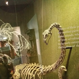 «ö¦¹¦b·sµøµ¡ÂsÄý¹Ï¤ù