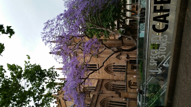 «ö¦¹¦b·sµøµ¡ÂsÄý¹Ï¤ù