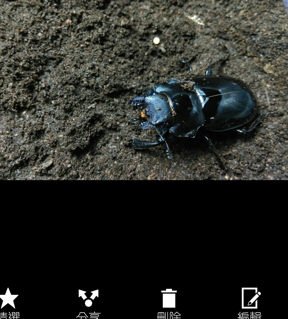 «ö¦¹¦b·sµøµ¡ÂsÄý¹Ï¤ù