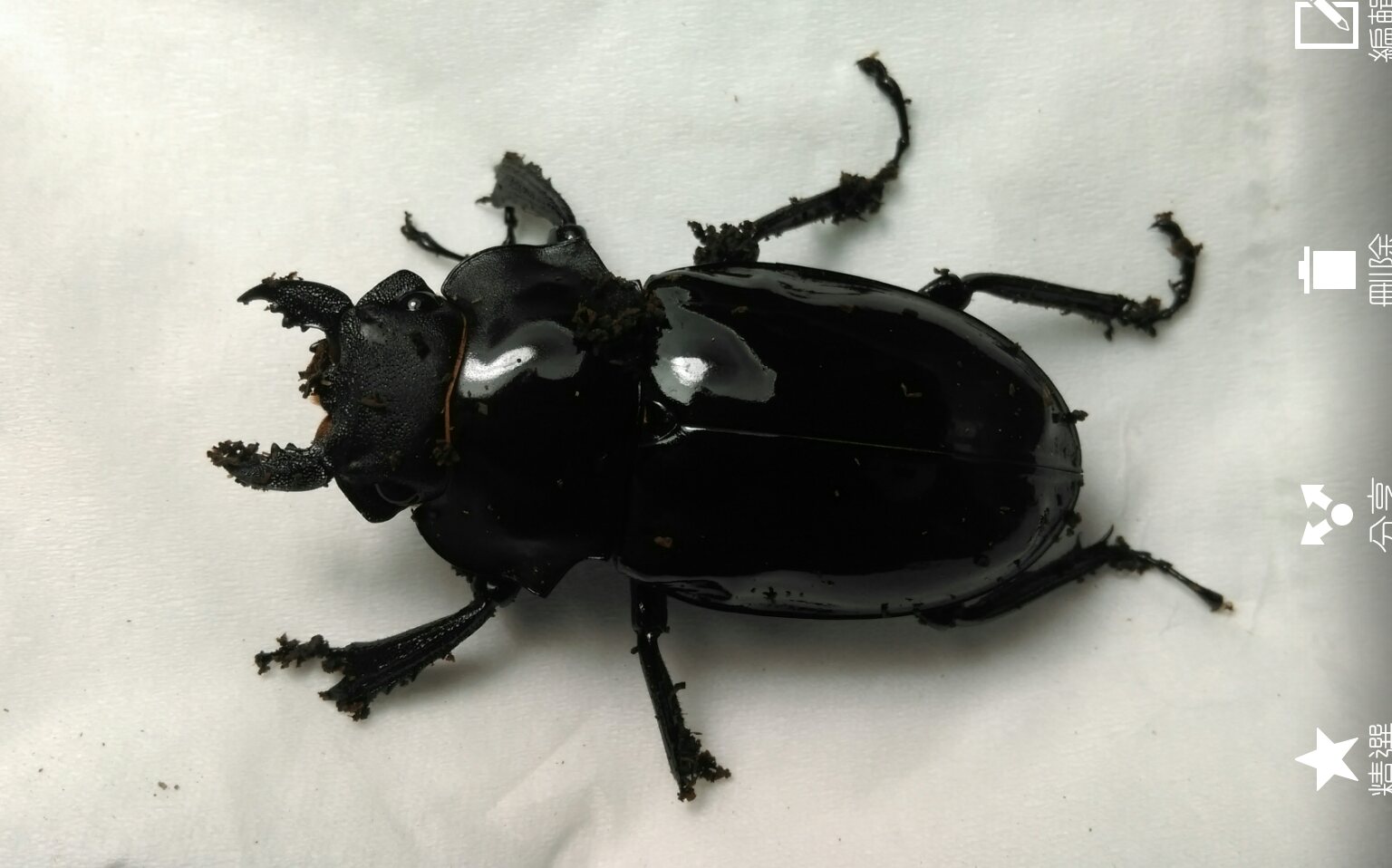 «ö¦¹¦b·sµøµ¡ÂsÄý¹Ï¤ù