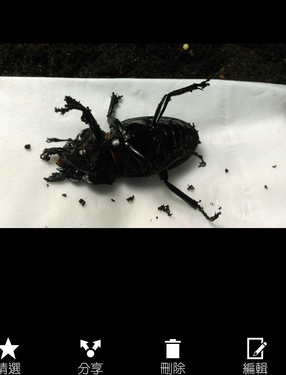 «ö¦¹¦b·sµøµ¡ÂsÄý¹Ï¤ù