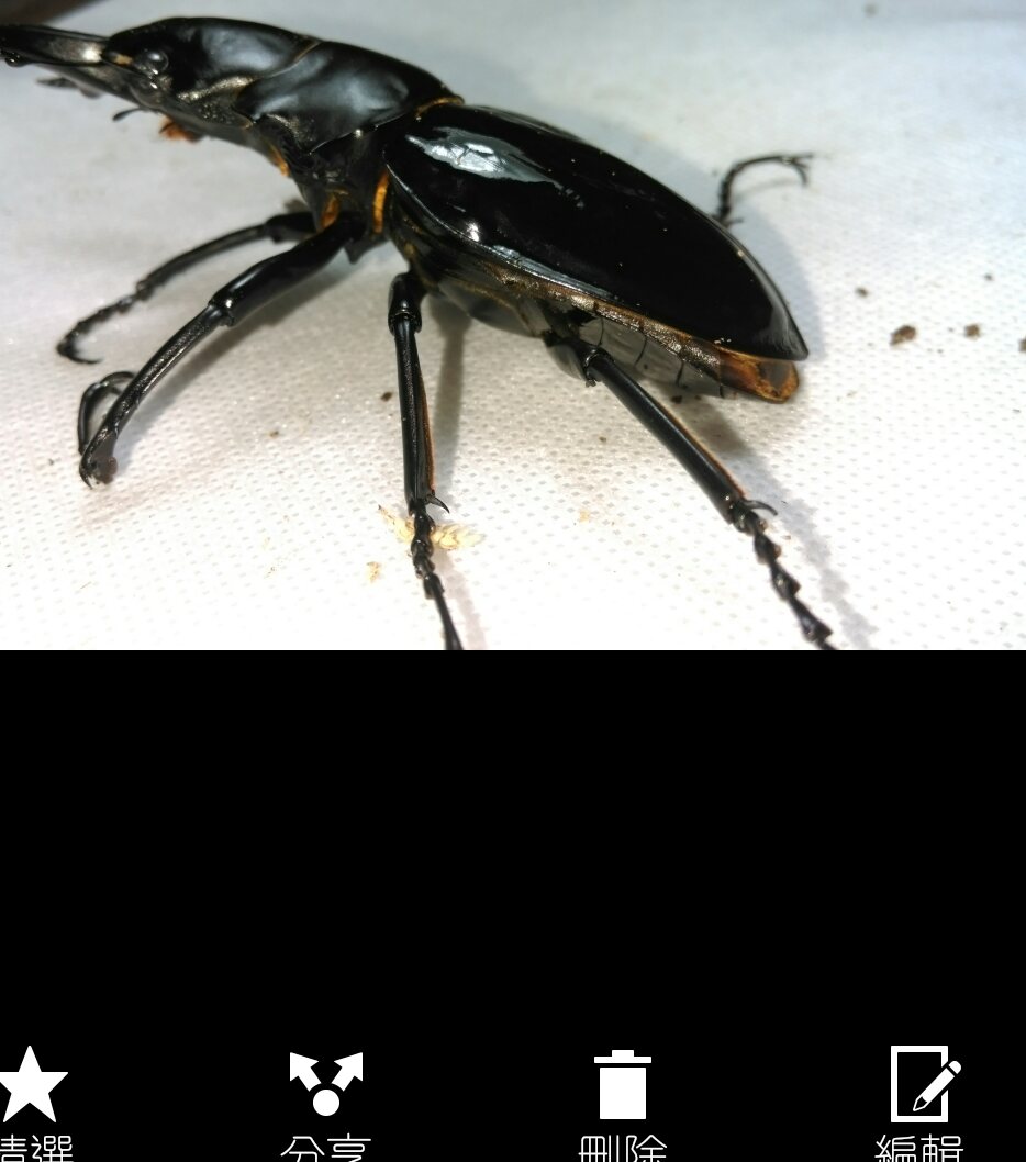 «ö¦¹¦b·sµøµ¡ÂsÄý¹Ï¤ù